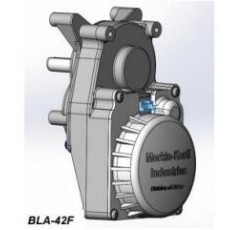 Merkle-Korff 平行軸減速電機(jī)BLA-42F系列