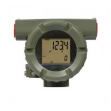 yokogawa質(zhì)量流量計LR科里奧利