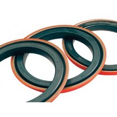 TIMKEN 輕型車(chē)輛密封件系列