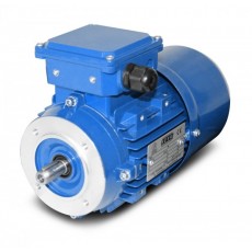 SEVA 制動(dòng)電機(jī)BMS 100L2-3 kW系列
