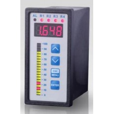 BDSENSORS 過(guò)程顯示器CIT 350系列
